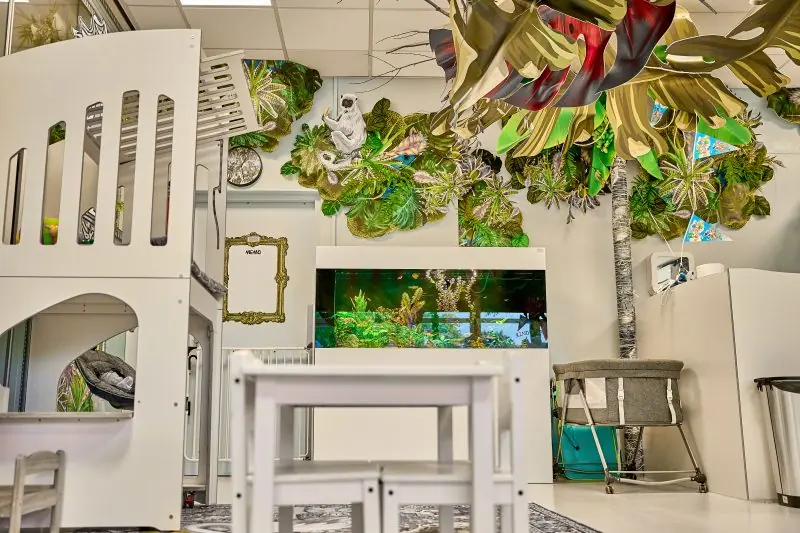 Speelhuisjes en jungleplanten